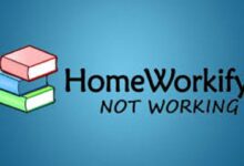 homeworkify not working