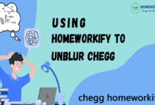 chegg homeworkify