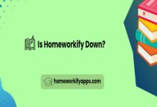 homeworkify st